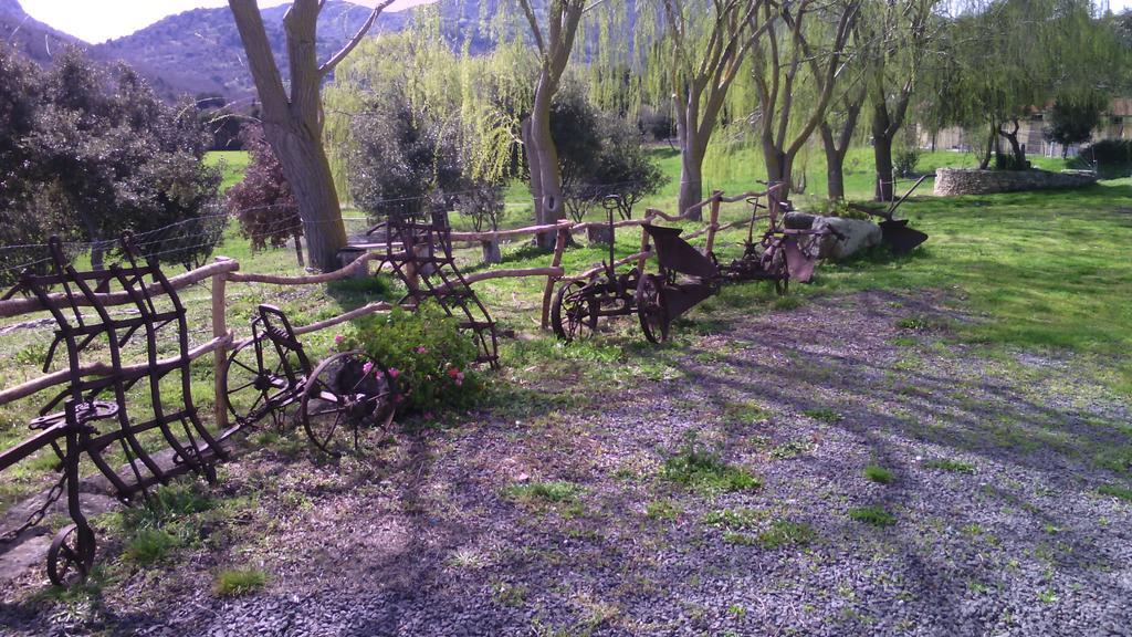 Agriturismo Cugumia Thiesi Esterno foto
