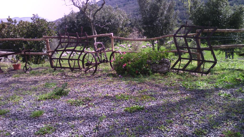 Agriturismo Cugumia Thiesi Esterno foto