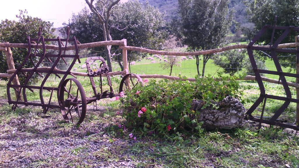 Agriturismo Cugumia Thiesi Esterno foto