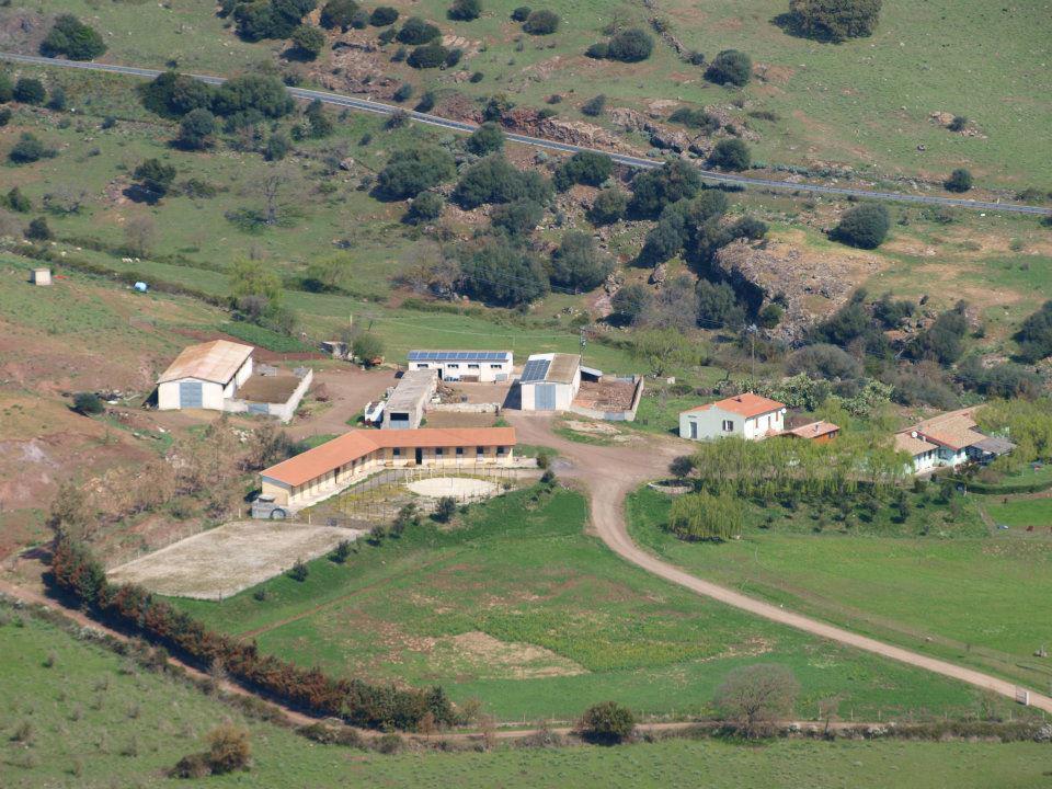 Agriturismo Cugumia Thiesi Esterno foto